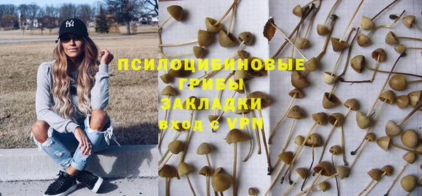 индика Алексеевка