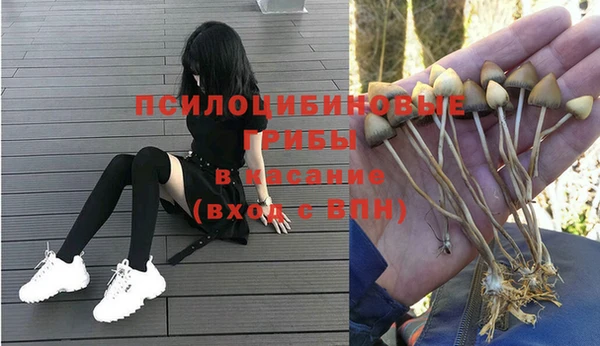 PSILOCYBIN Алзамай