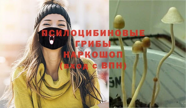 эйфоретик Алексин