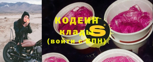 PSILOCYBIN Алзамай