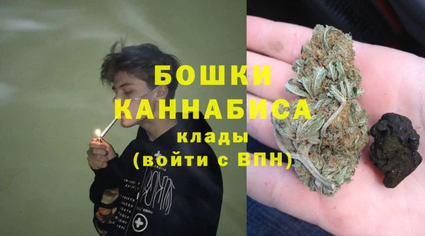индика Алексеевка